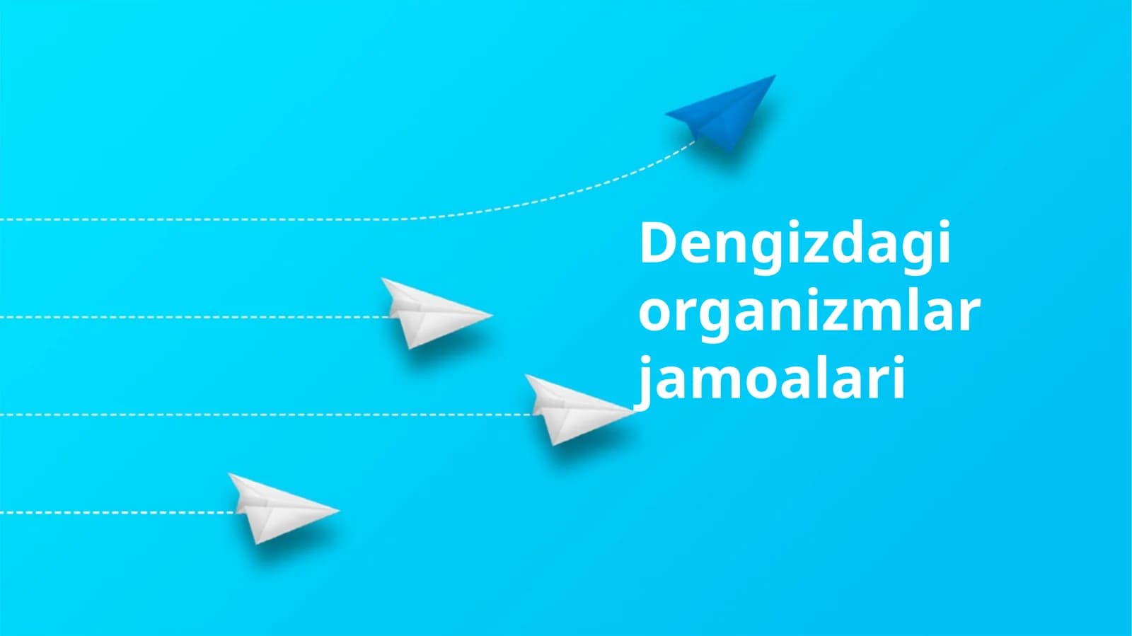 Dengizdagi organizmlar jamoalari