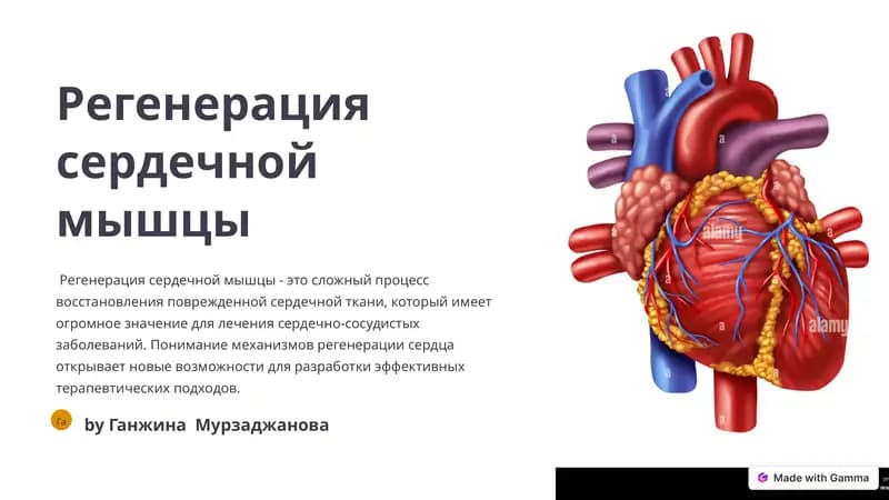 Регенерация сердечной мышцы