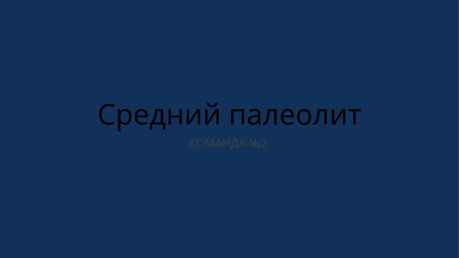Средний палеолит