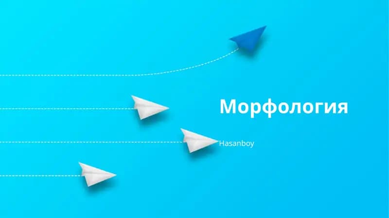 Морфология