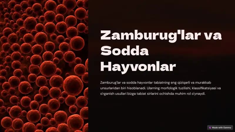 Zamburug'lar va Sodda Hayvonlar