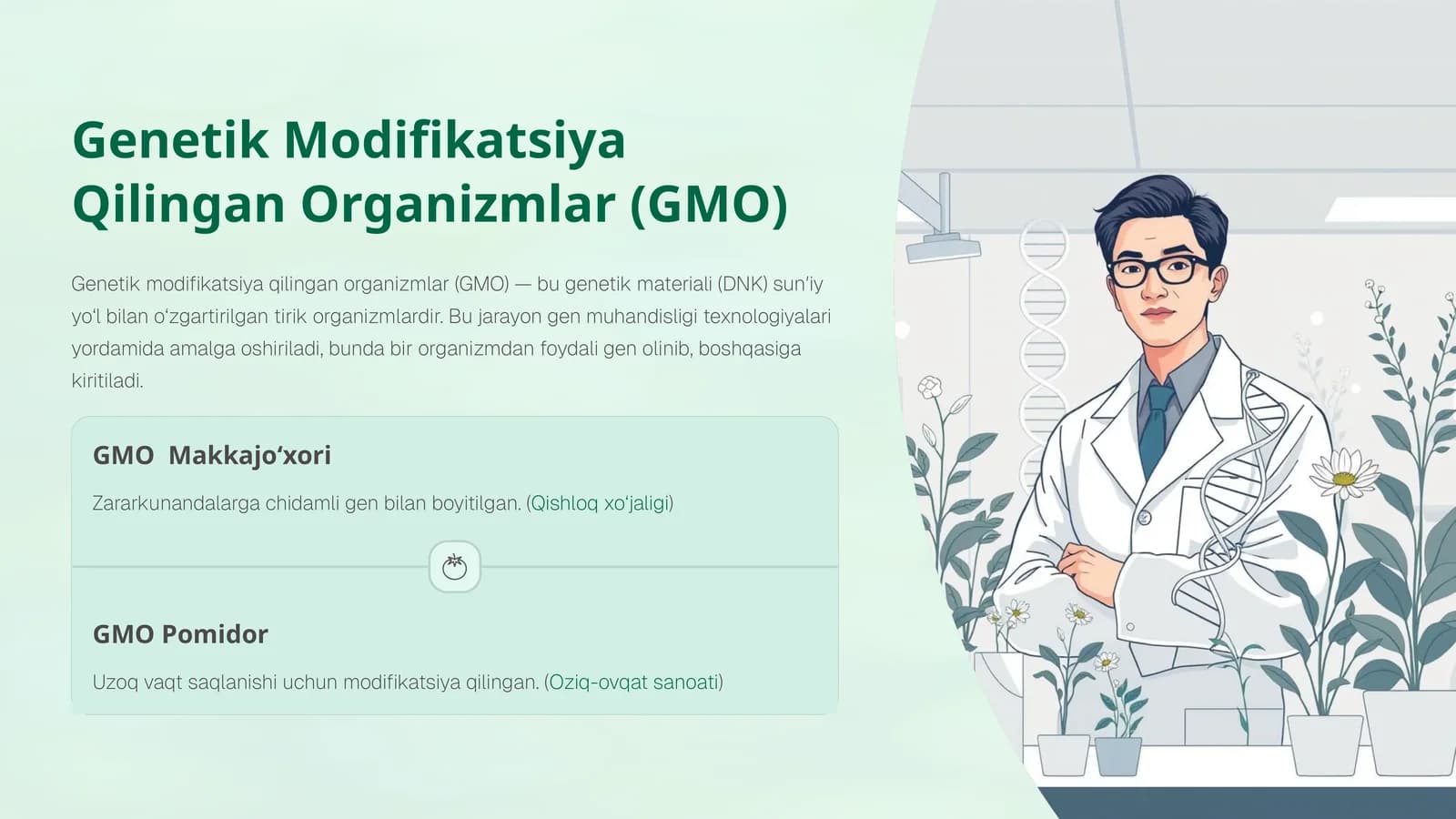 GMO Makkajo‘xori