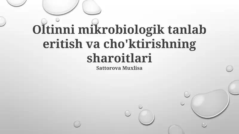 Oltinni mikrobiologik tanlab eritish va cho'ktirishning sharoitlari