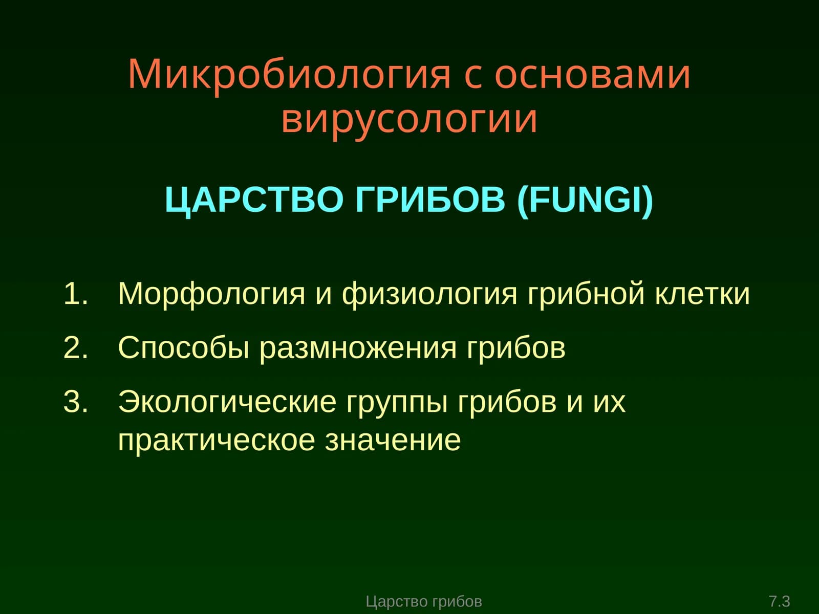 Морфология и физиология грибной клетки
