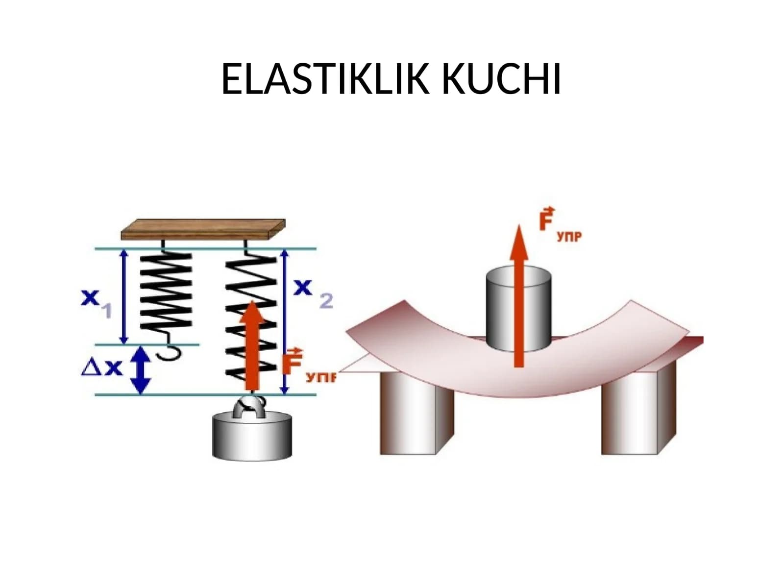 ELASTIKLIK KUCHI