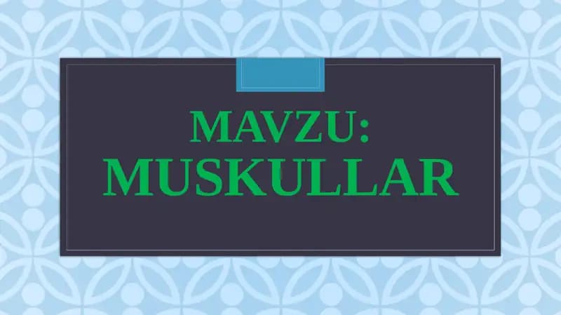 Muskullar