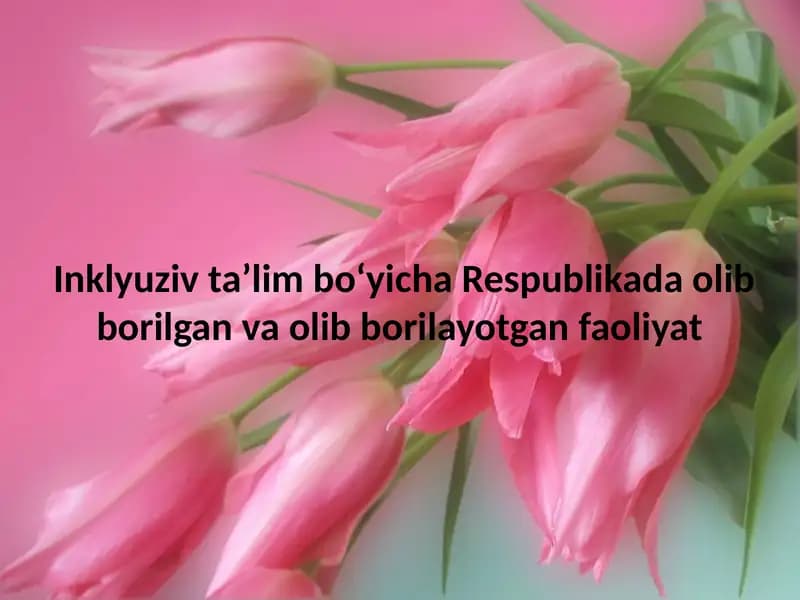 Inklüziv ta'lim bo'yicha Respublikada olib borilgan va olib borilayotgan faoliyat