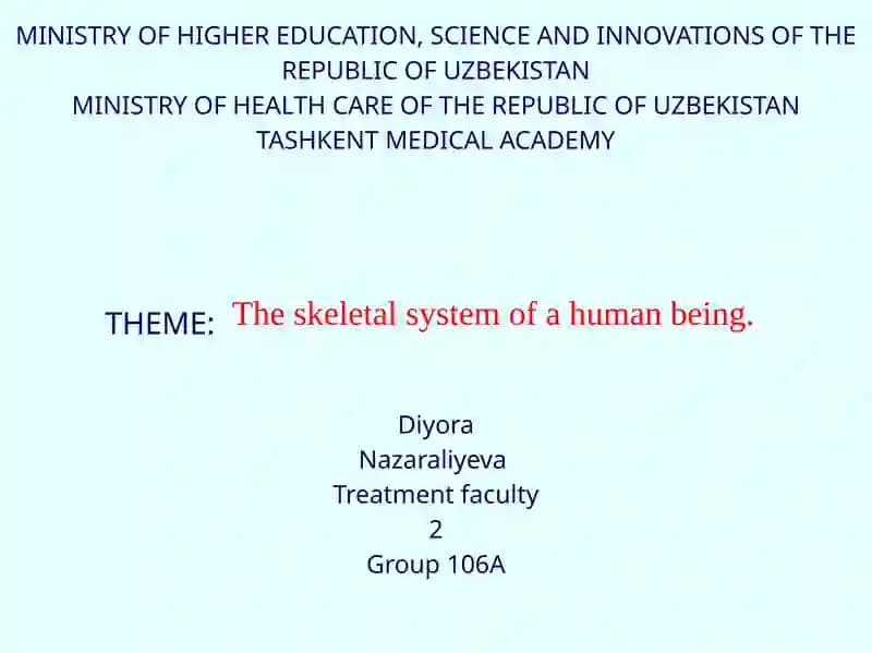 The skeletal system of a human being