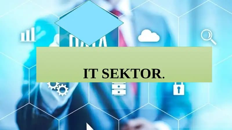 IT SEKTOR