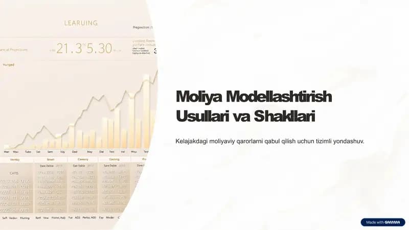 Moliya Modellashtirish Usullari va Shakllari