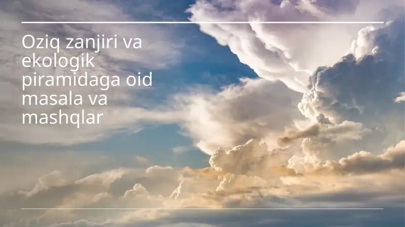 Oziq zanjiri va ekologik piramidaga oid masala va mashqlar