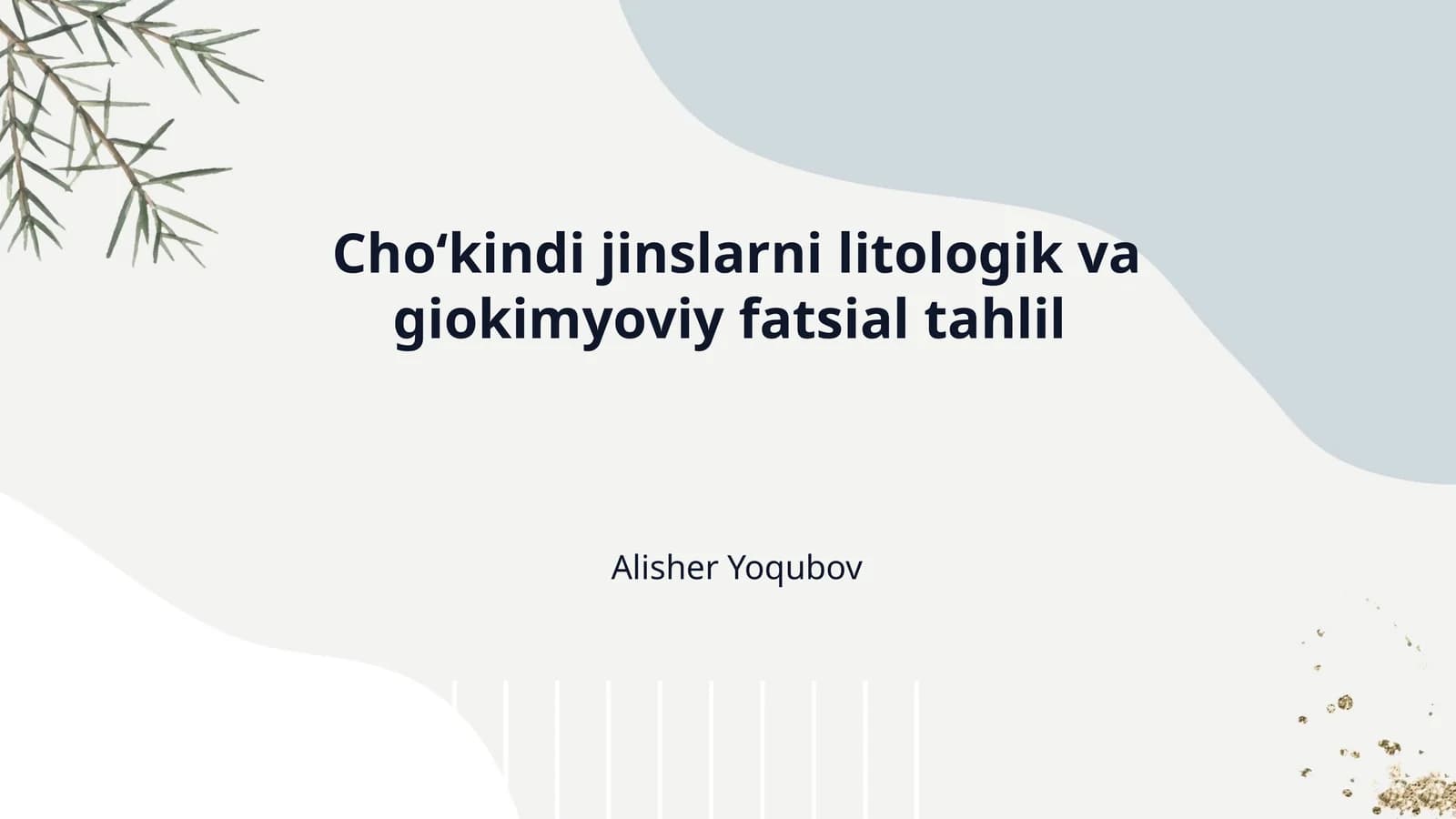 Choʻkindi jinslarni litologik va giokimyoviy fatsial tahlil
