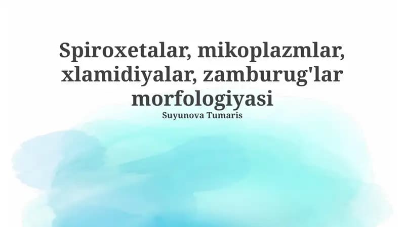 Mikoplazmalar, xlamidiyalar, spiroxetalar va zamburug'lar morfologiyasi
