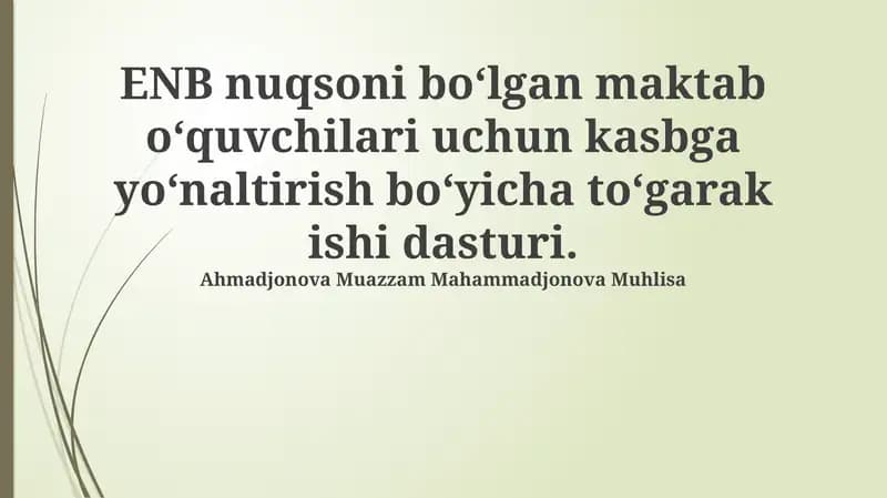 Kasbiy yo'nalish dasturi