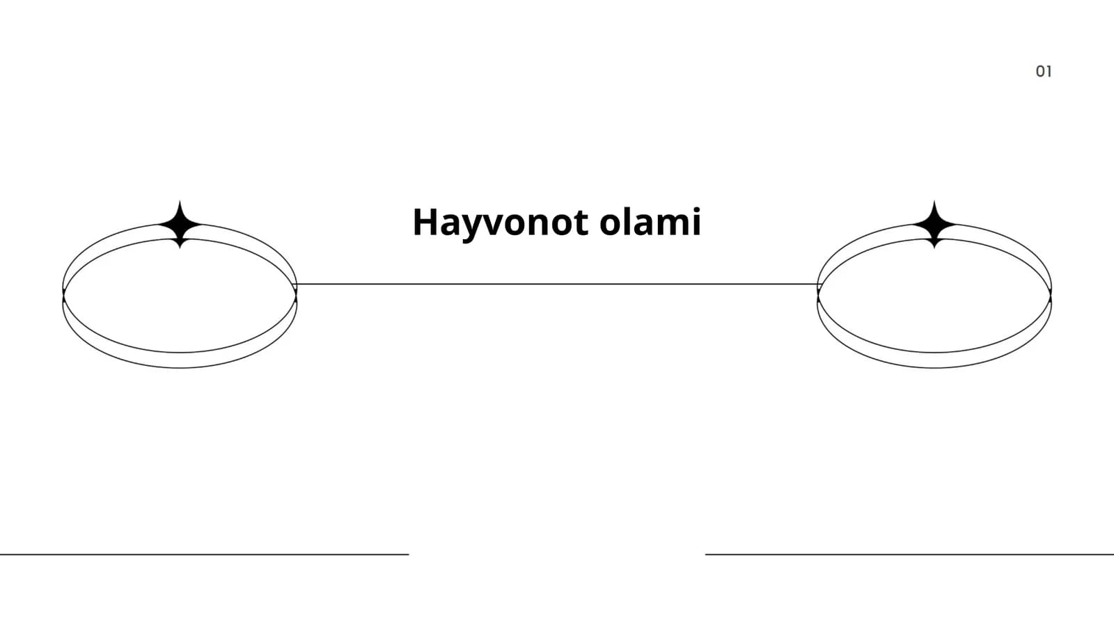 Hayvonot olami
