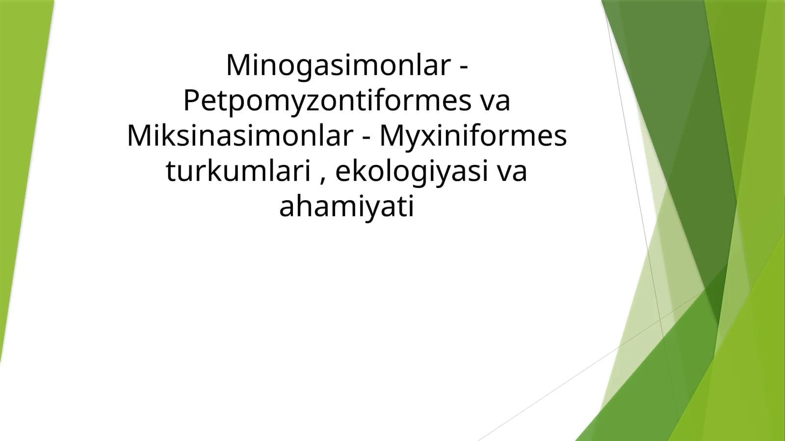Minogasimonlar - Petpomyzontiformes va Miksinasimonlar - Myxiniformes turkumlari, ekologiyasi va ahmiyati