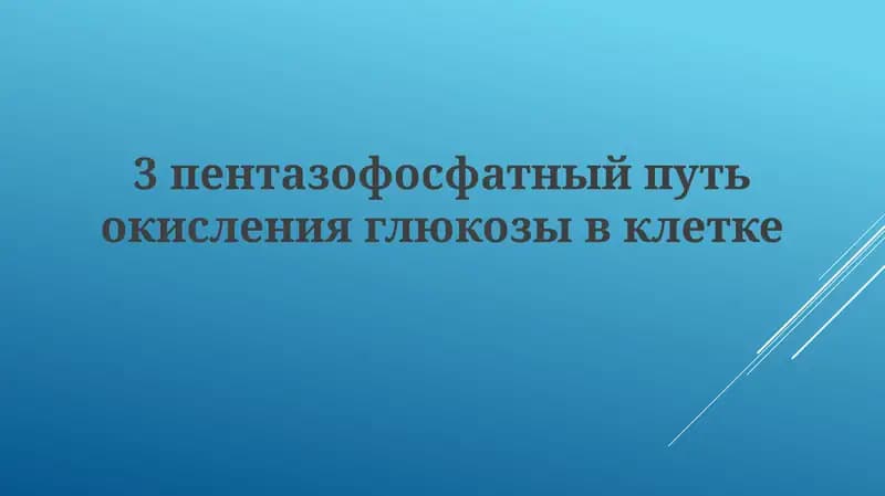 Пентозофосфатный путь окисления глюкозы в клетке