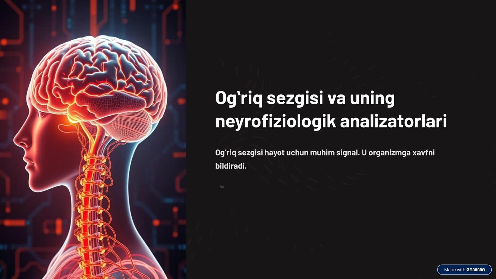 Ogʻriq sezgisi va uning neyrofiziologik analizatorlari