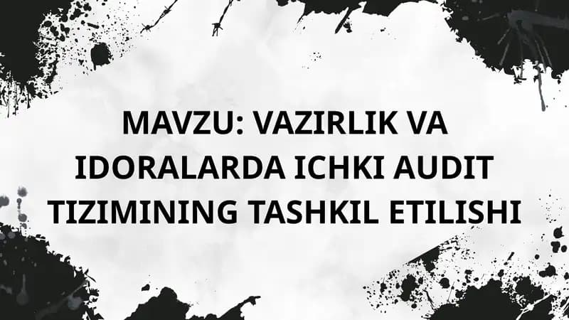 Vazirlik va idoralarda ichki audit tizimining tashkil etilishi