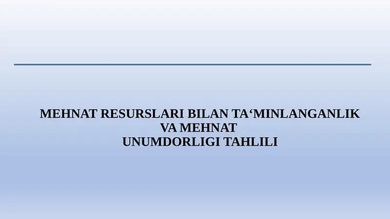 MEHNAT RESURSLARI BILAN TA‘MINLANGANLIK VA MEHNATUNUMDORLIGI TAHLILI