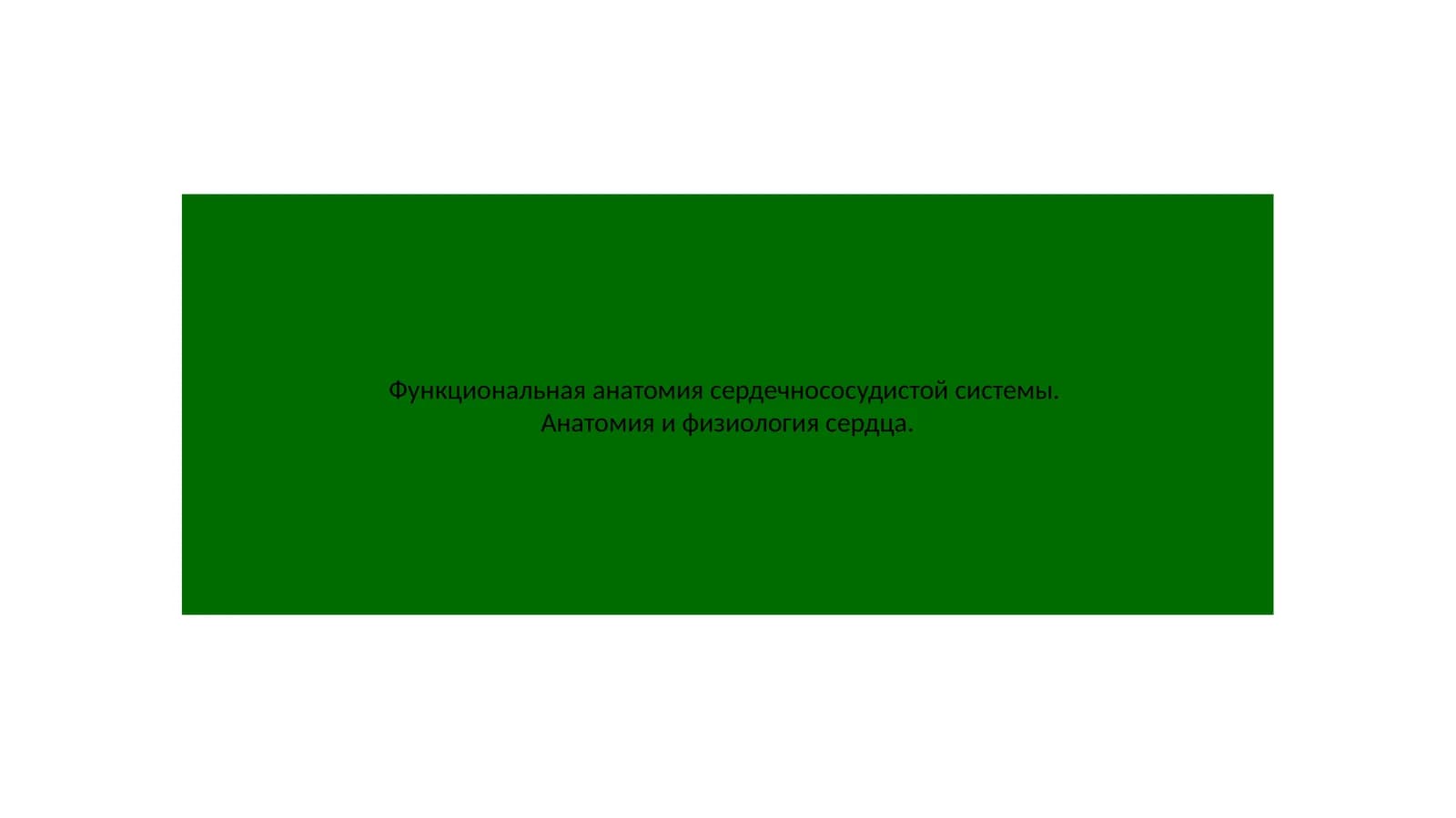 Функциональная анатомия сердечнососудистой системы