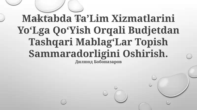 Maktabda Taʼlim Xizmatlarini YoʻLga QoʻYish Orqali Budjetdan Tashqari MablagʻLar Topish Sammaradorligini Oshirish