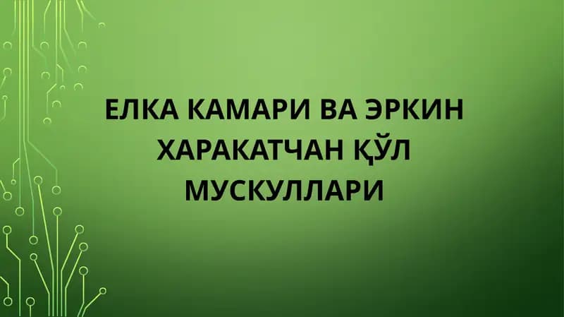 Елка камари ва Эркин харакатчан қўл мускуллари