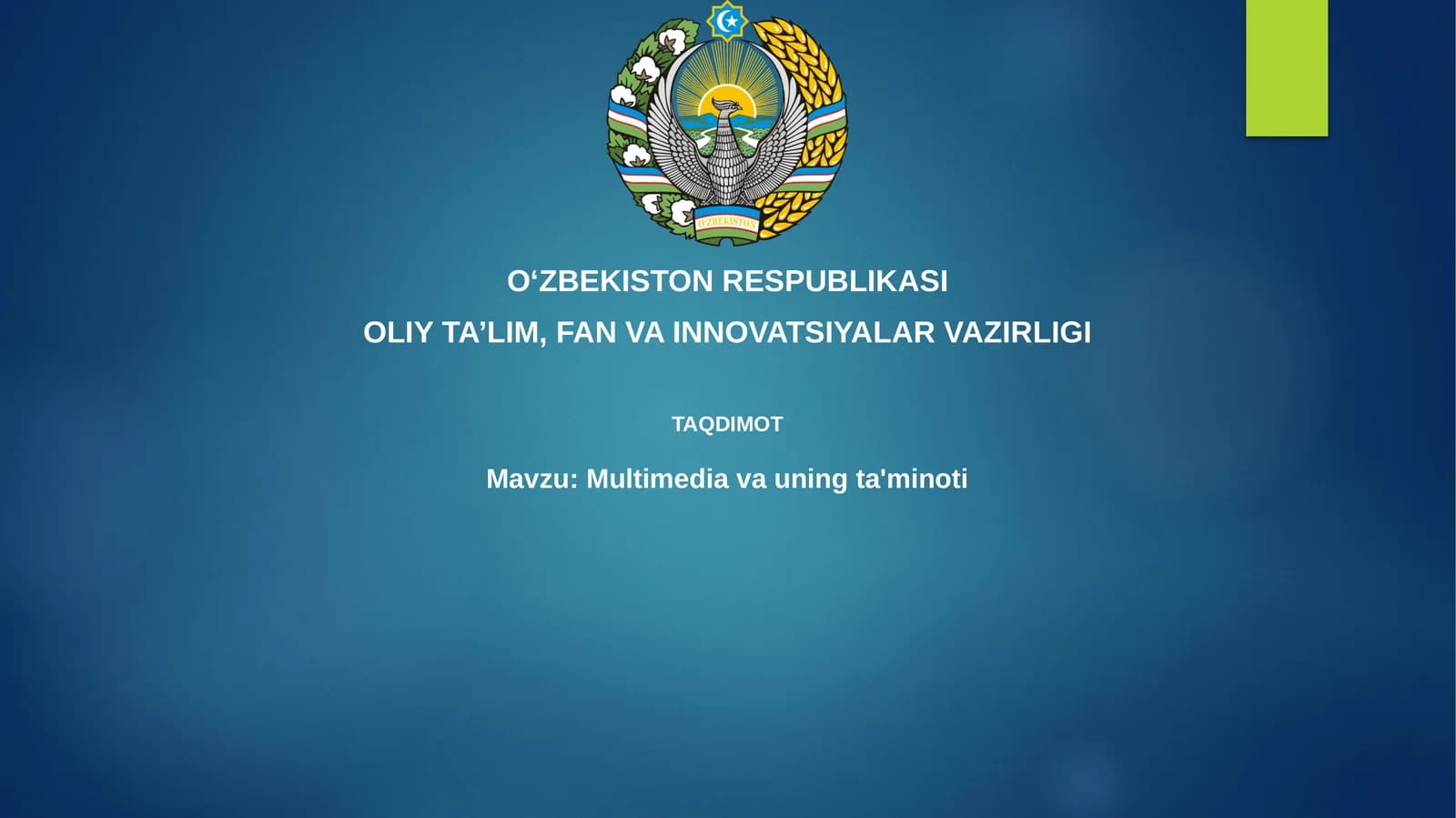 Multimedia va uning ta'minoti