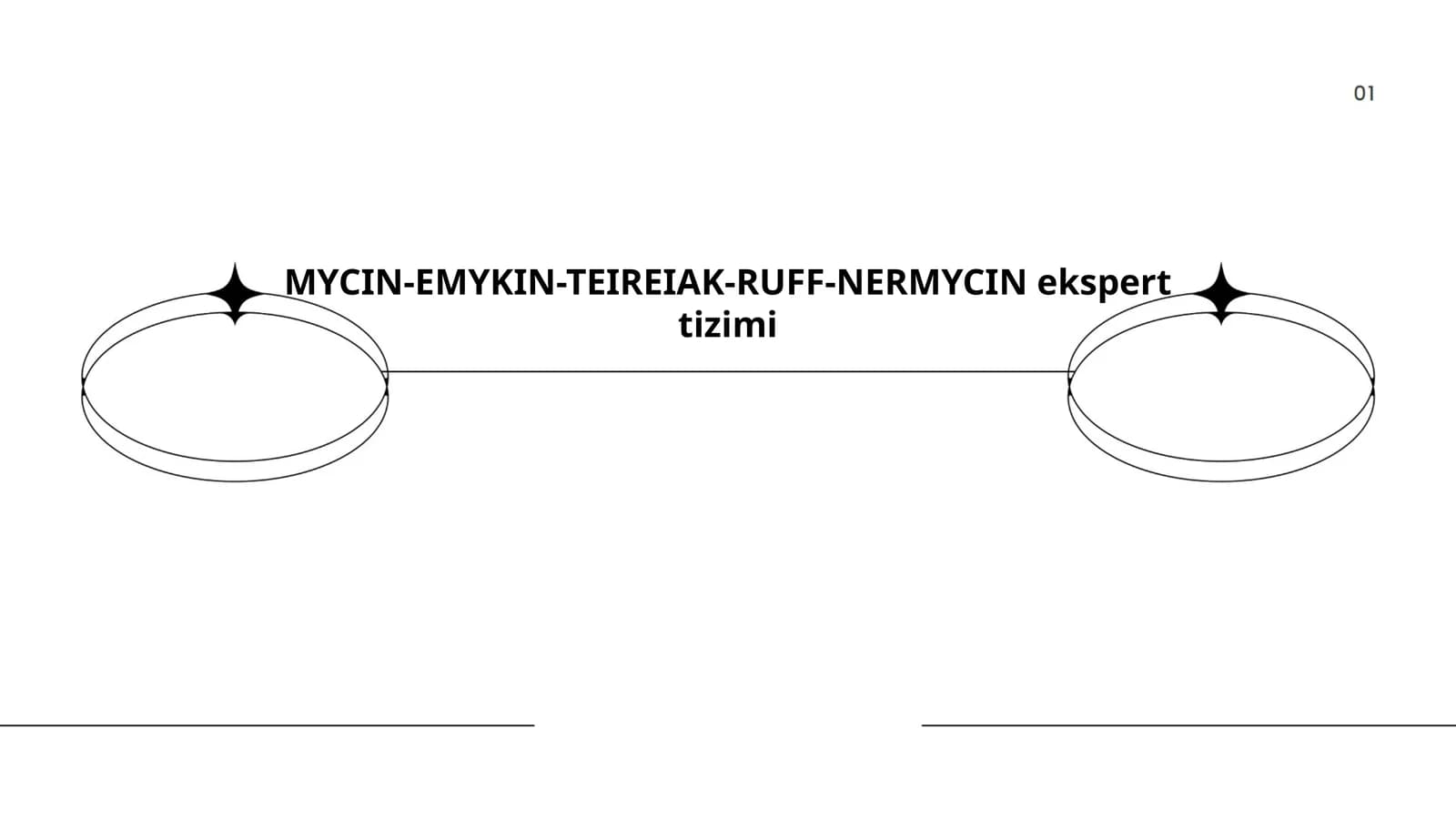 MYCIN-EMYKIN-TEIREIAK-RUFF-NERMYCIN ekspert tizimi