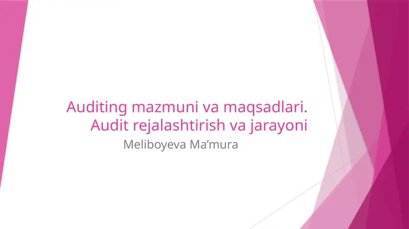 Auditing mazmuni va maqsadlari. Audit rejalashtirish va jarayoni