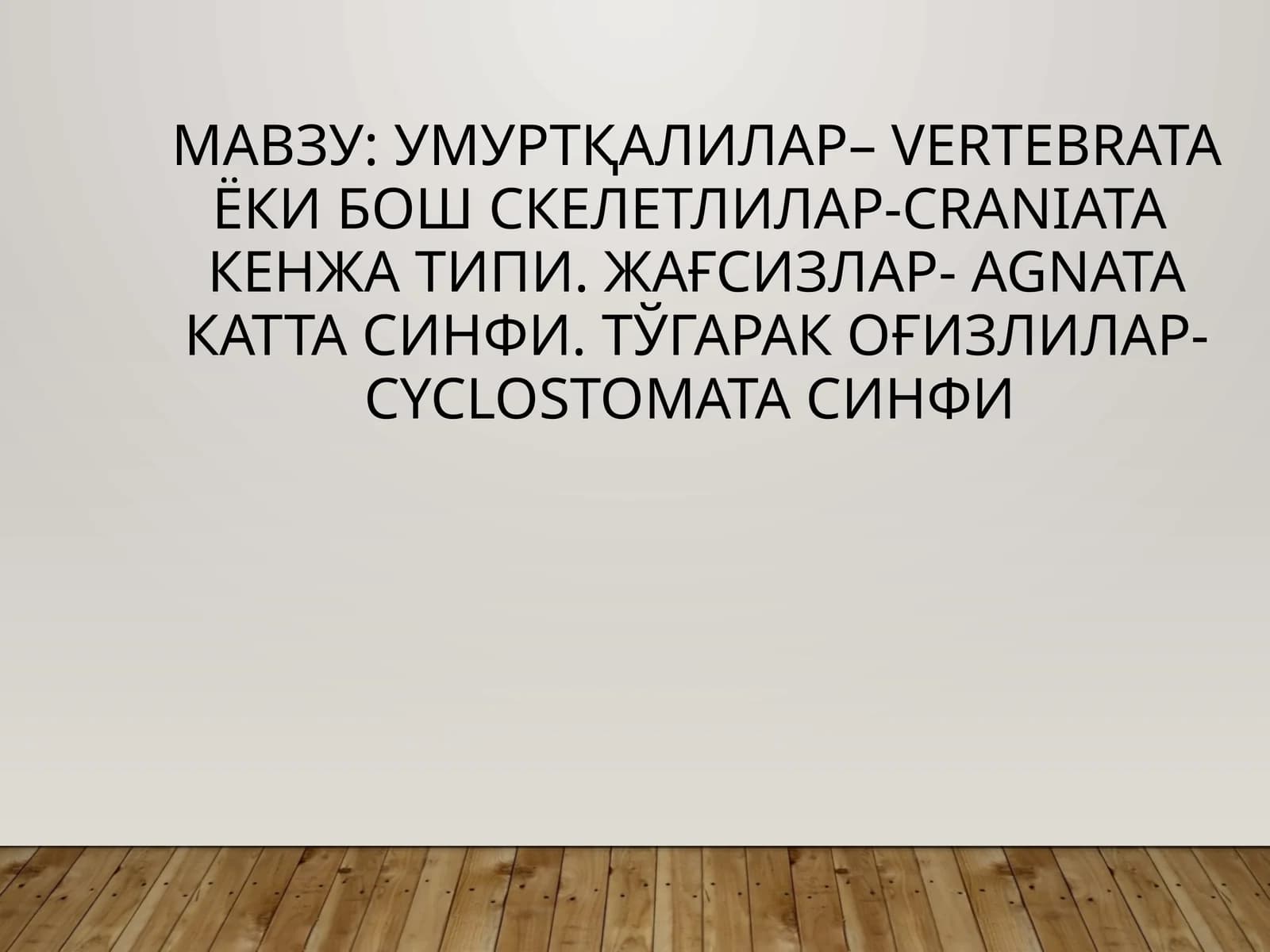Умуртқалилар– Vertebrata ёки Бош скелетлилар-Craniata кенжа типи