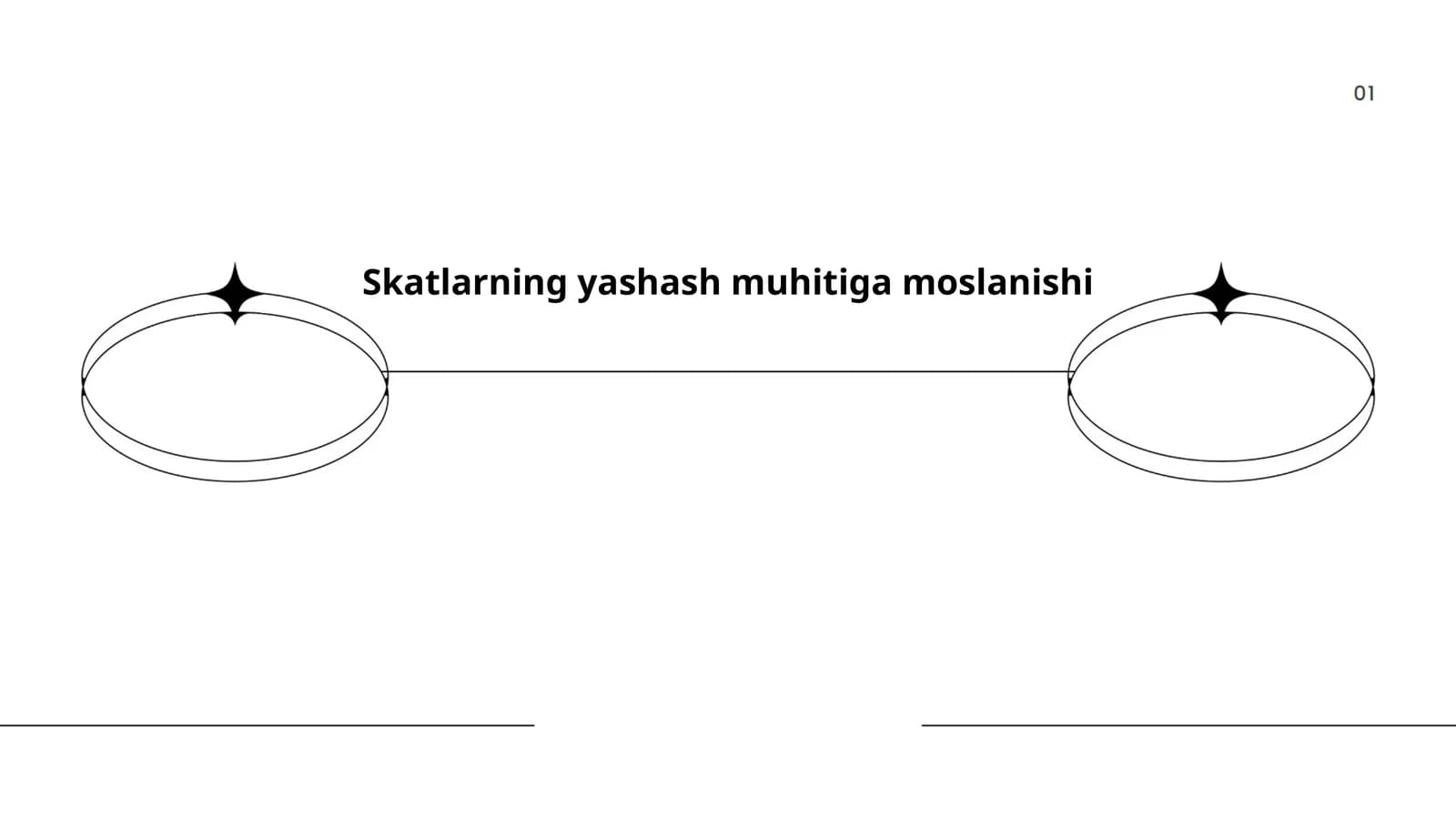Skatlarning yashash muhitiga moslanishi