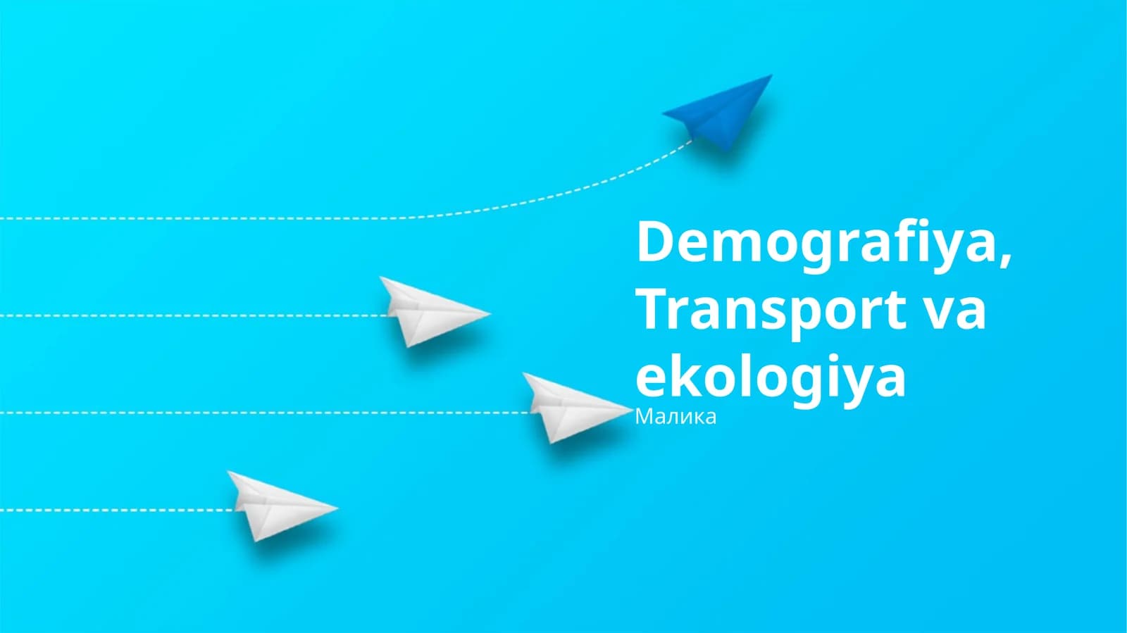 Demografiya, Transport va ekologiya