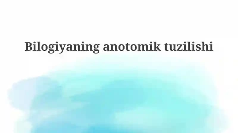 Bilogiyaninganotomiktuzilishi
