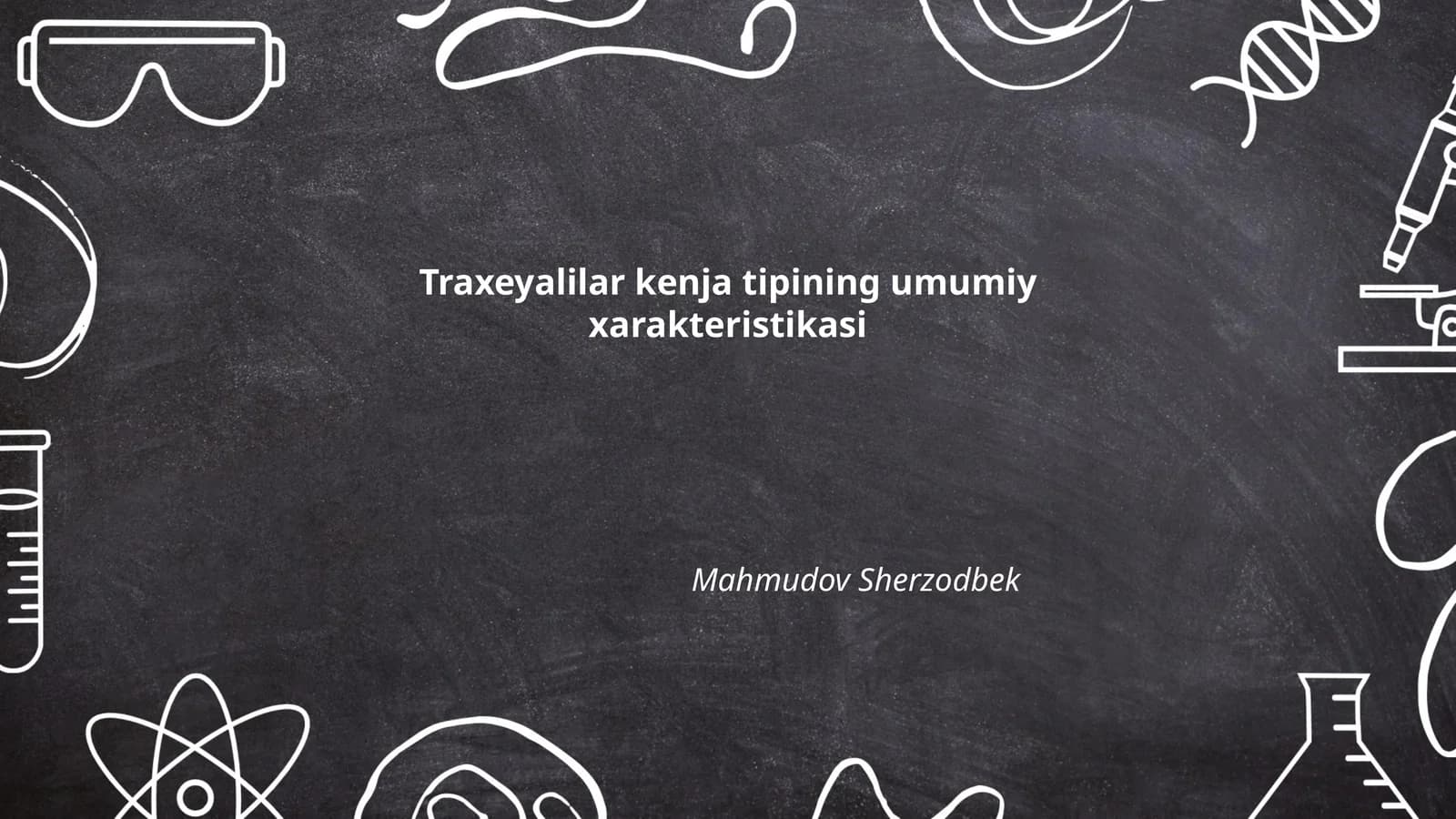 Traxeyalilar kenja tipining umumiy xarakteristikasi