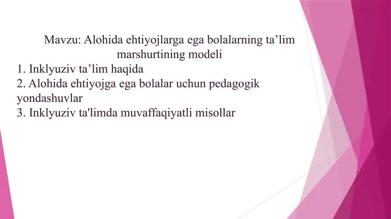 Alohida ehtiyojlarga ega bolalarning taʼlim marshurtining modeli