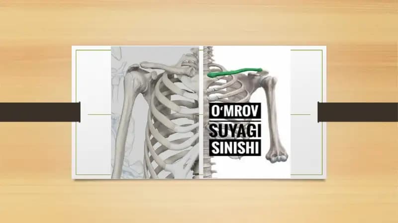O'mrov chiqishlari va sinishlari