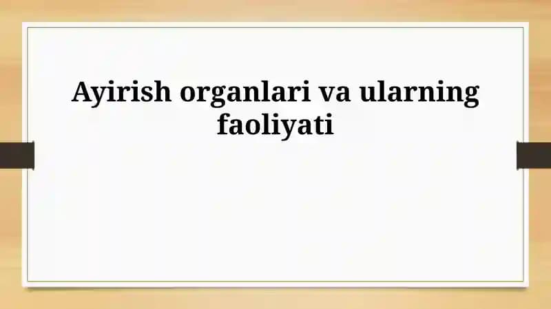 Siydik ajratish organlari va ularning faoliyati