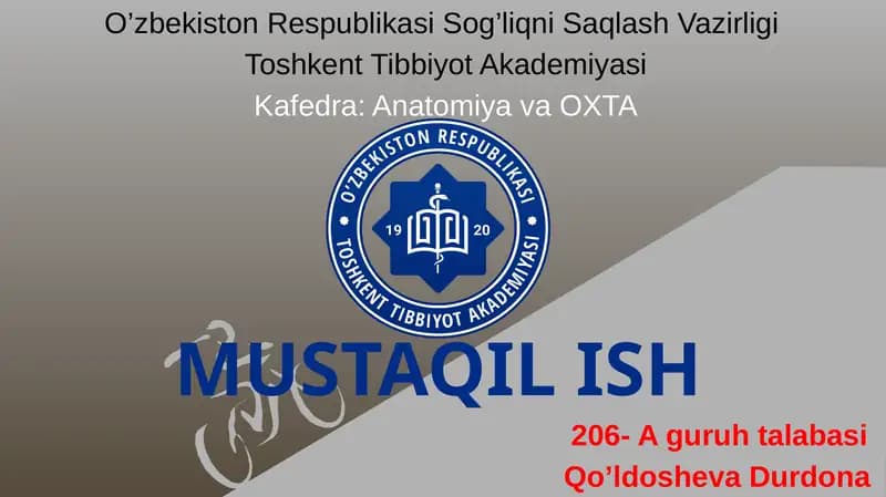 Yelka chigalining hosil bo'lishi va uning qisqa shoxlari.