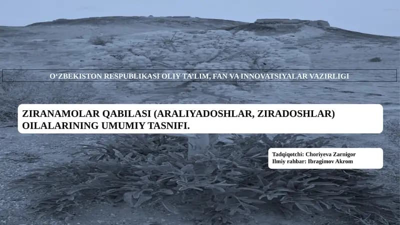 ZIRANAMOLAR QABILASI (ARALIYADOSHLAR, ZIRADOSHLAR) OILALARINING UMUMIY TASNIFI
