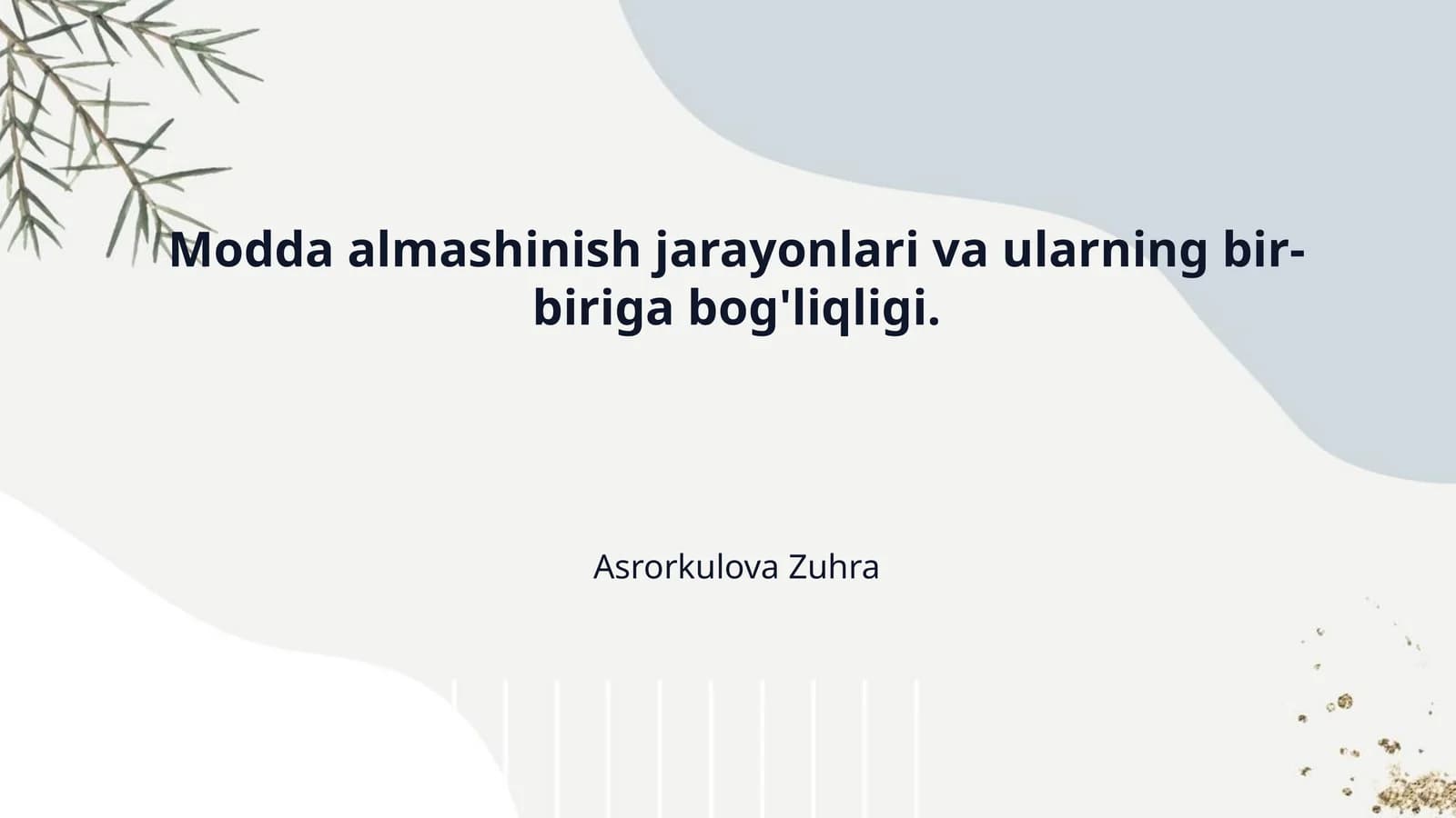 Modda almashinish jarayonlari va ularning bir-biriga bog'liqligi.