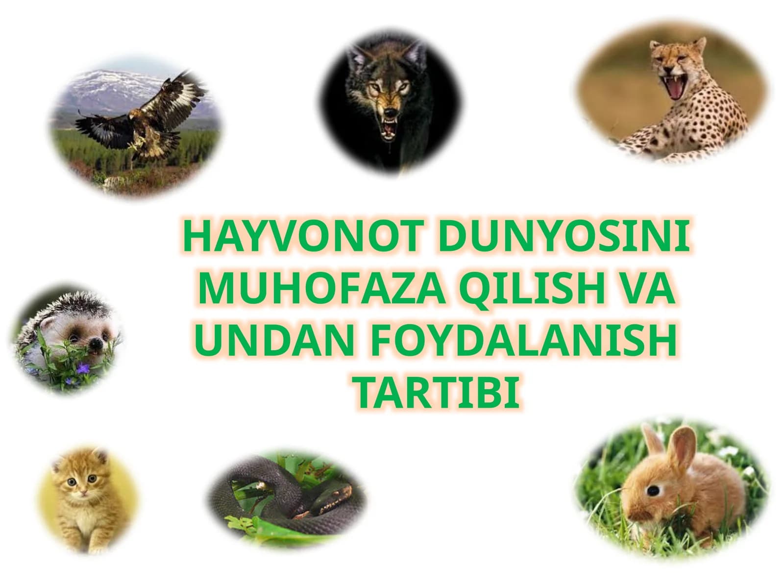 HAYVONOT DUNYOSINI MUHOFAZA QILISH VA UNDAN FOYDALANISHtartibi
