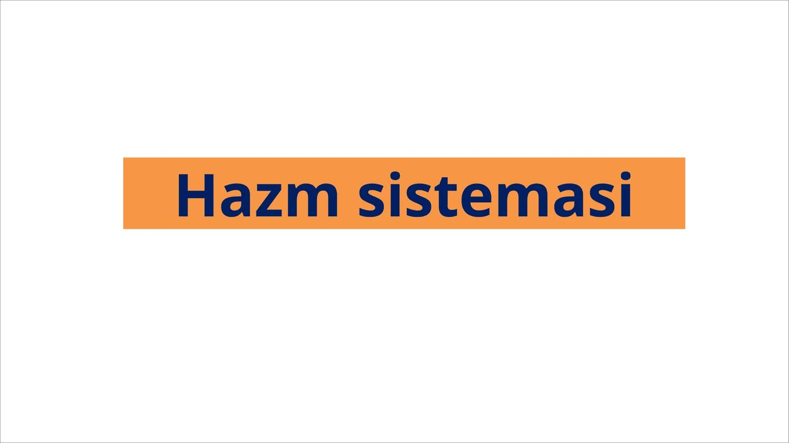 Hazmsistemasi