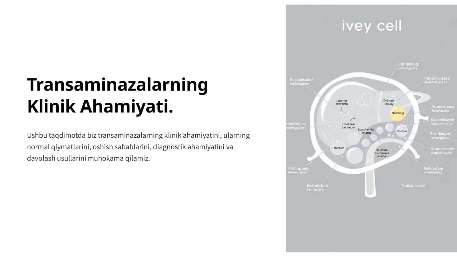 Transaminazalarning Klinik Ahamiyati