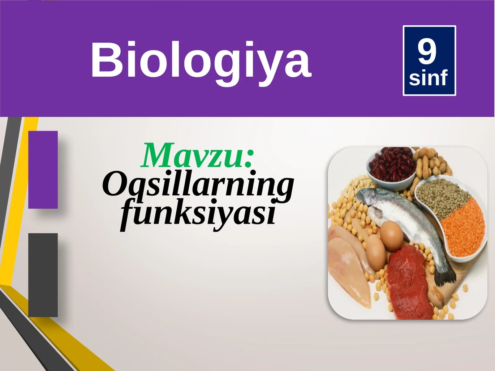 Biologiya 9-sinf Oqsillarning funksiyasi