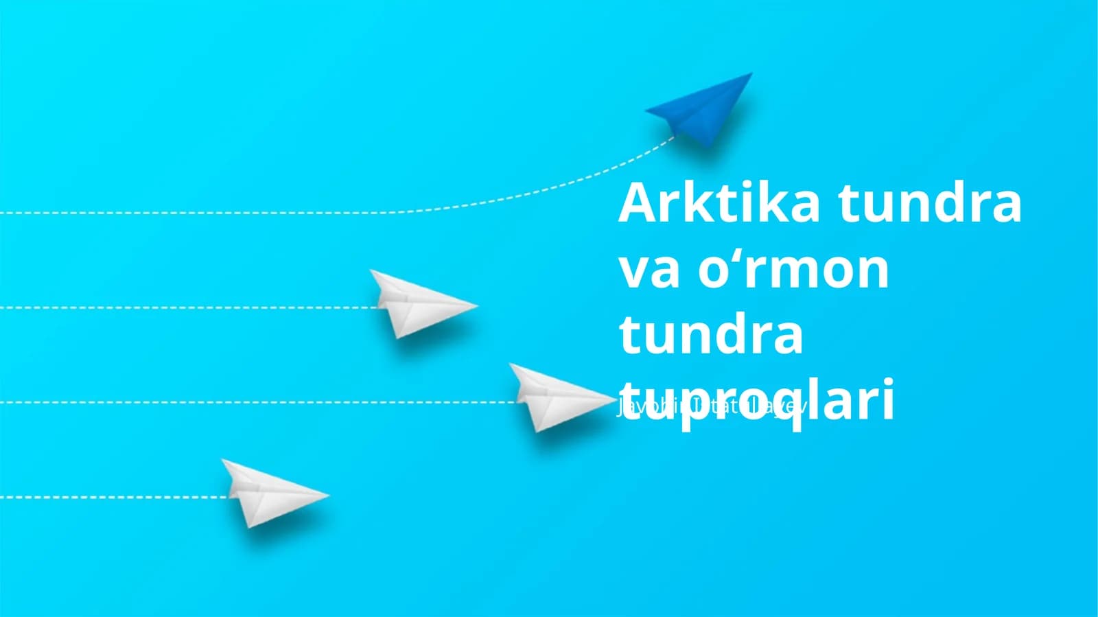 Arktika tundra va oʻrmon tundra tuproqlari