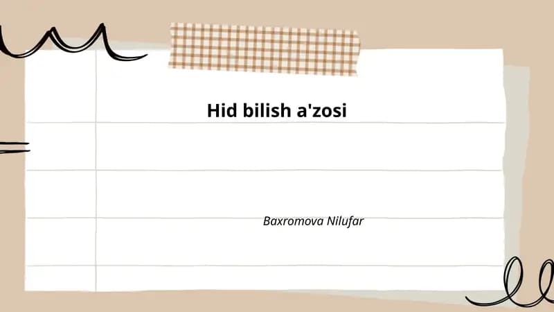 Hid bilish a'zosi