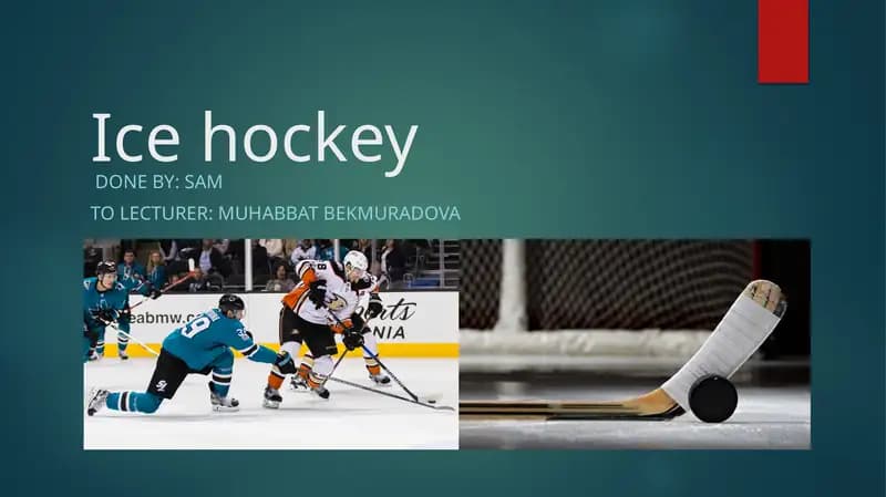 Background facts and terminology of ice hockey