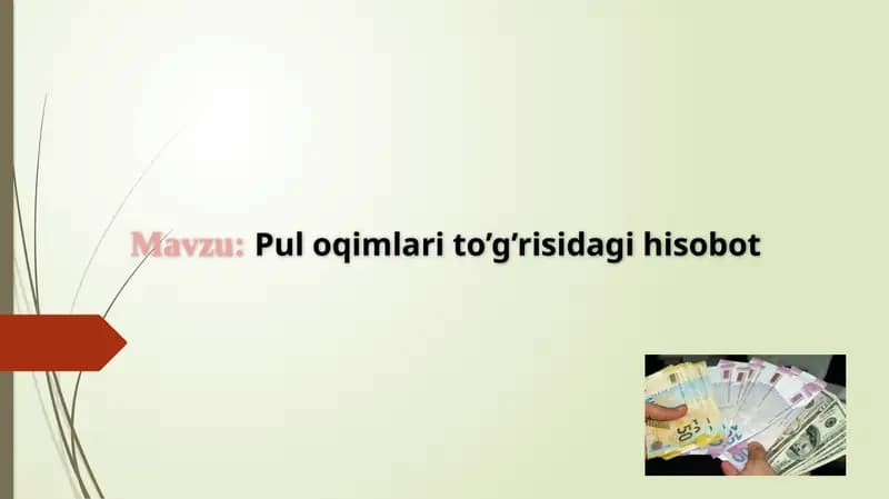 Puloqimlarito’g’risidagihisobot