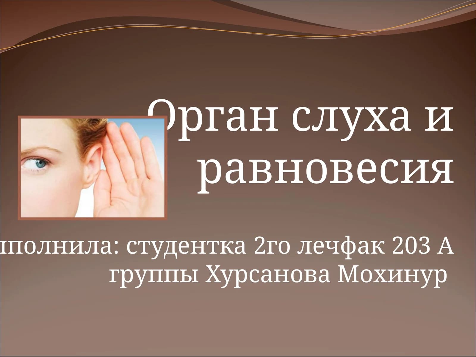 Орган слуха и равновесия